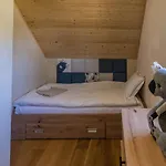 Siedlisko Pili Pili شقة
