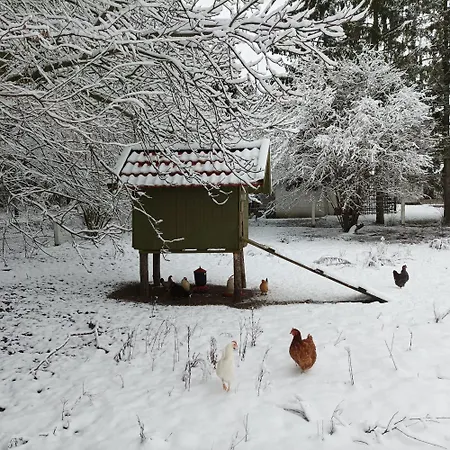 Siedlisko Pili Pili * Sorkwity